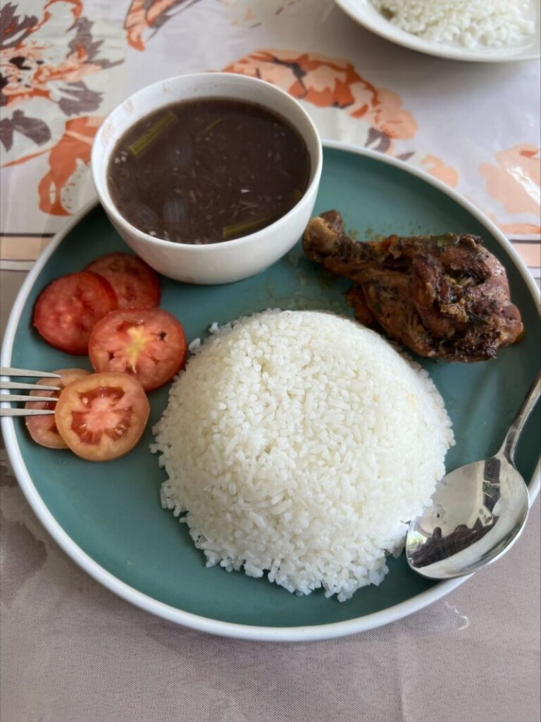 ドミニカ共和国の一般家庭のご飯の写真です。